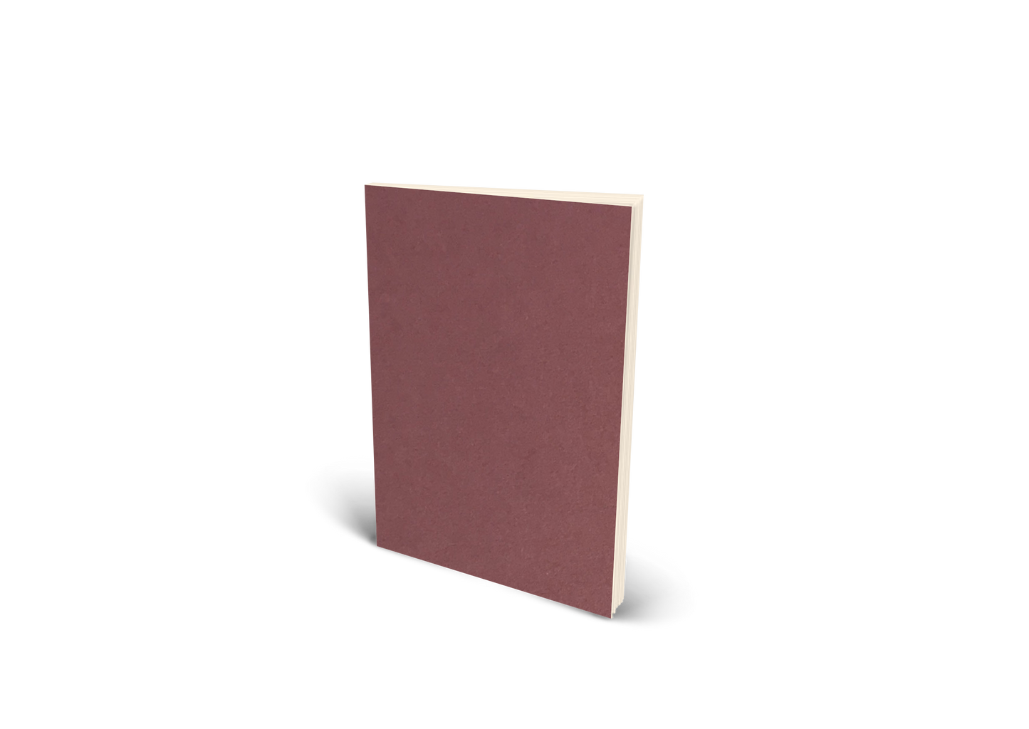 Song Meanings / Lyric Booklet image 0